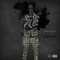 Papoose - 2019 - Underrated