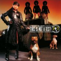 Missy Elliott - 2003 - This Is Not A Test!