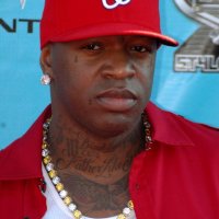 Birdman - испытательный срок и штраф