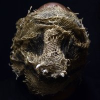 Self Jupiter выпустил сольный альбом «Sexy Beast»